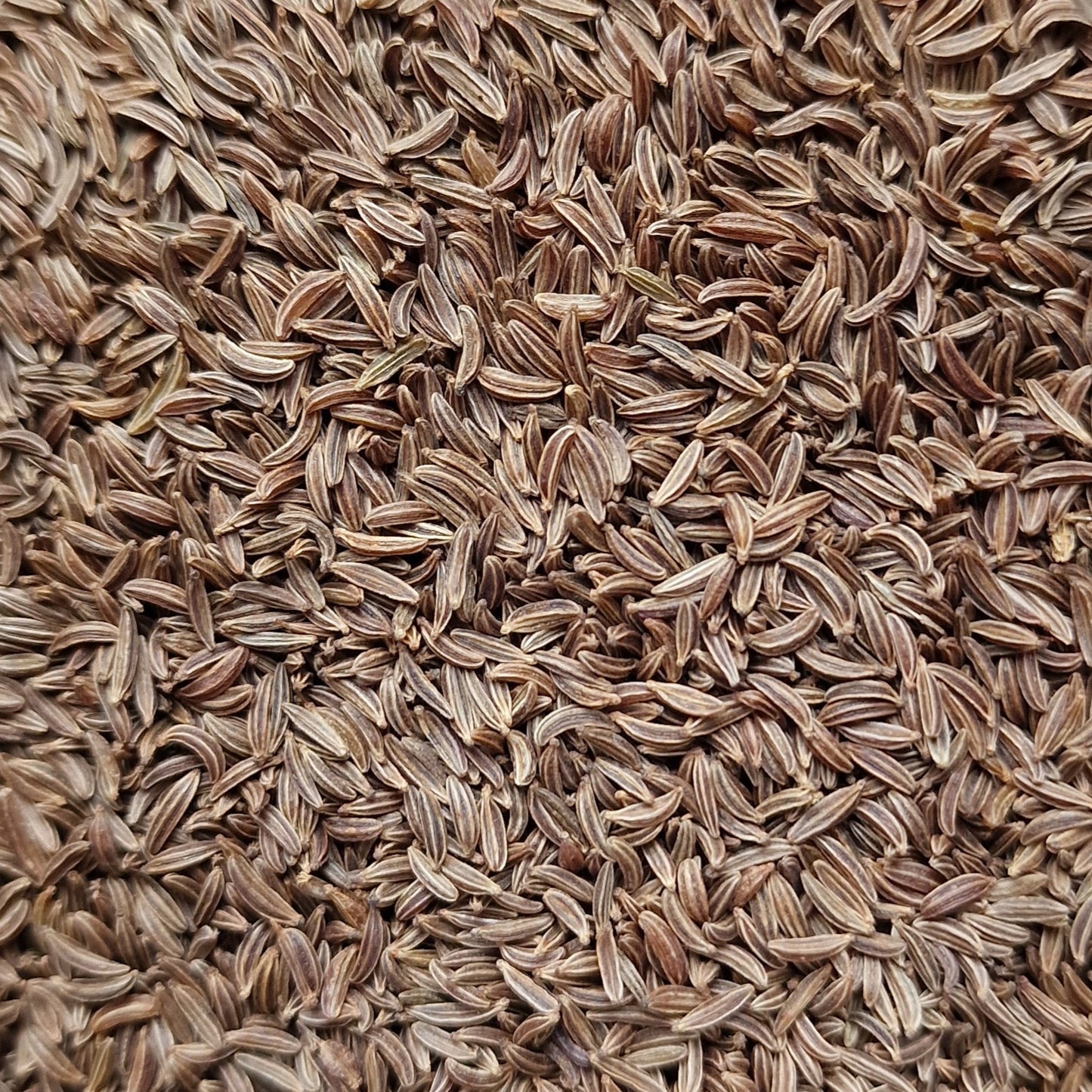 Caraway Seeds (10g)