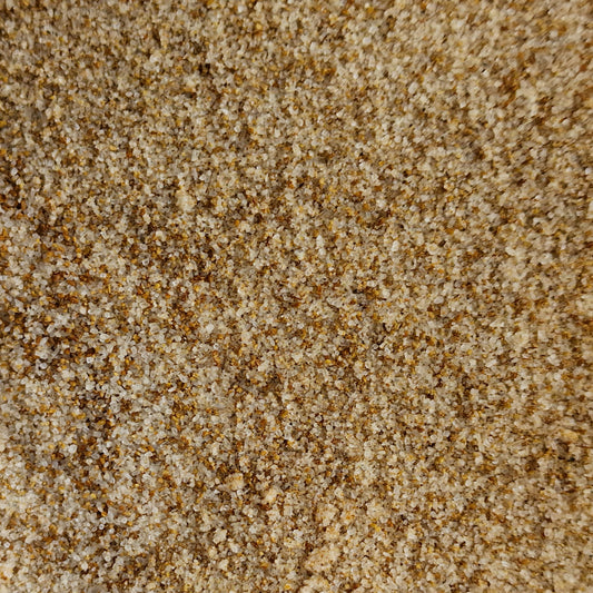 Celery Salt (10g)