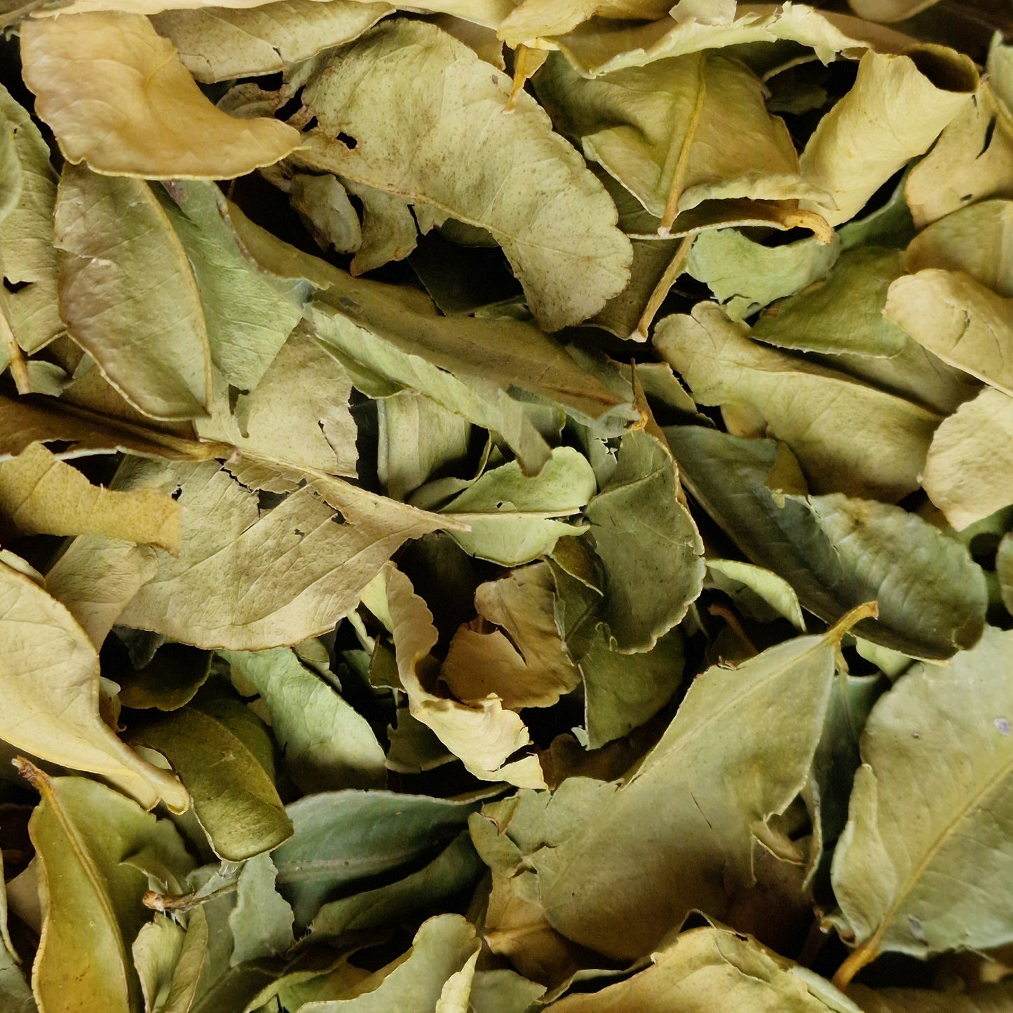 Kaffir Lime Leaves (10g)