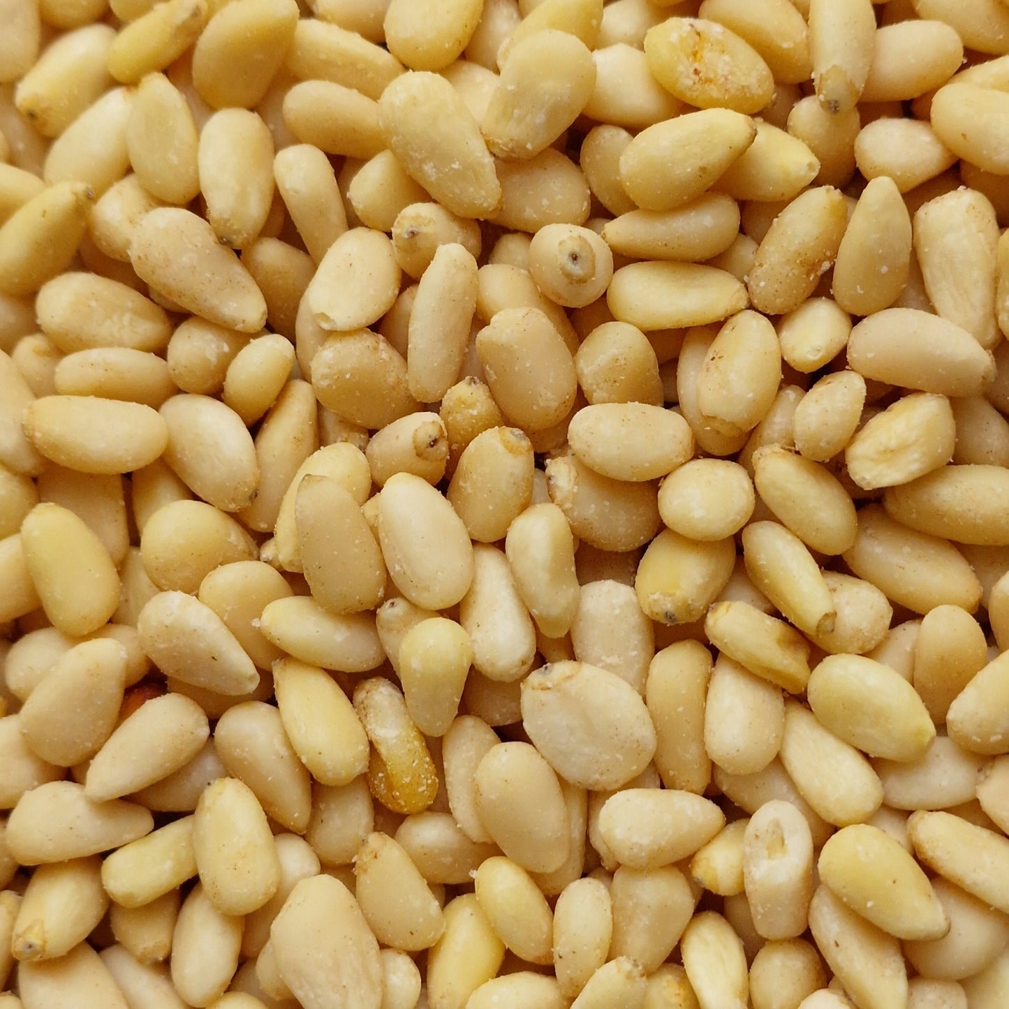 Pine Nuts (10g)